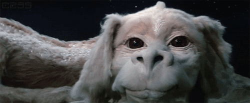 Falcor is the only good dragon.
